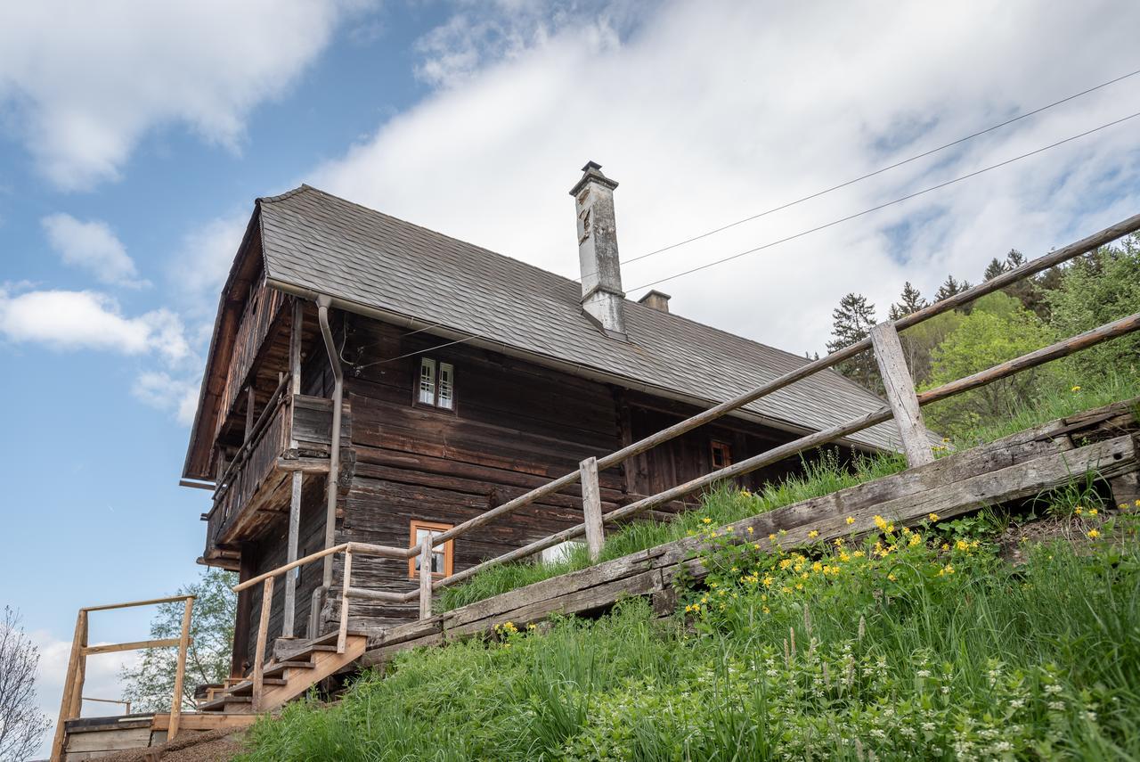 Villa Urlaub auf der Alm Deluxe Preggraben Exterior foto