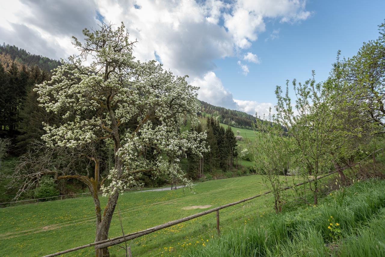 Villa Urlaub auf der Alm Deluxe Preggraben Exterior foto